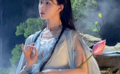 车文越详细越好推荐